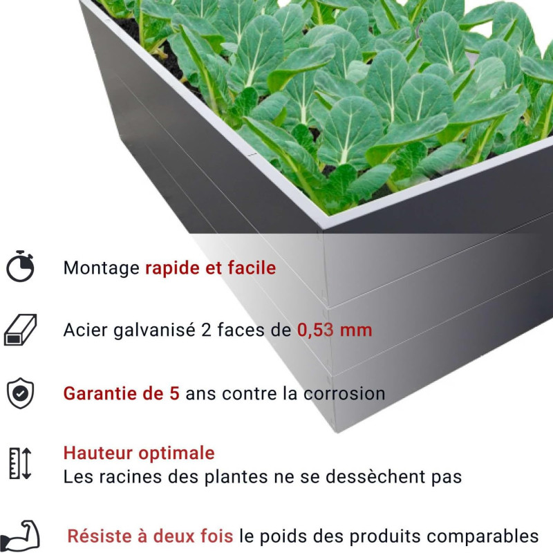 Potager Surélevé En Métal 170x85x63 Cm Avec Grille Anti-Taupes
