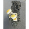 Decorative stump with mushrooms Decorative stump with mushrooms