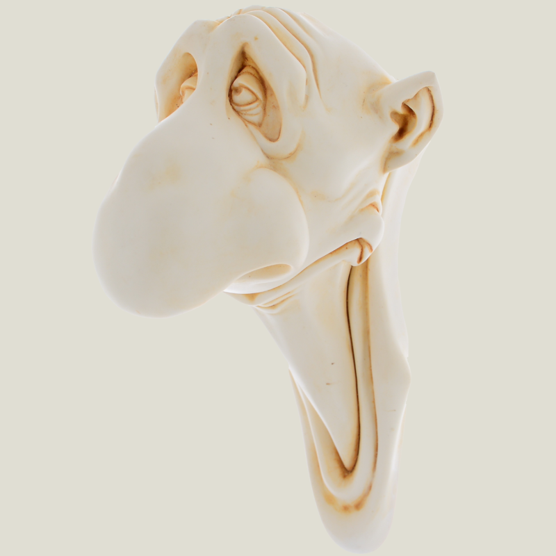 Big Nose hanging ivory, 20 cm