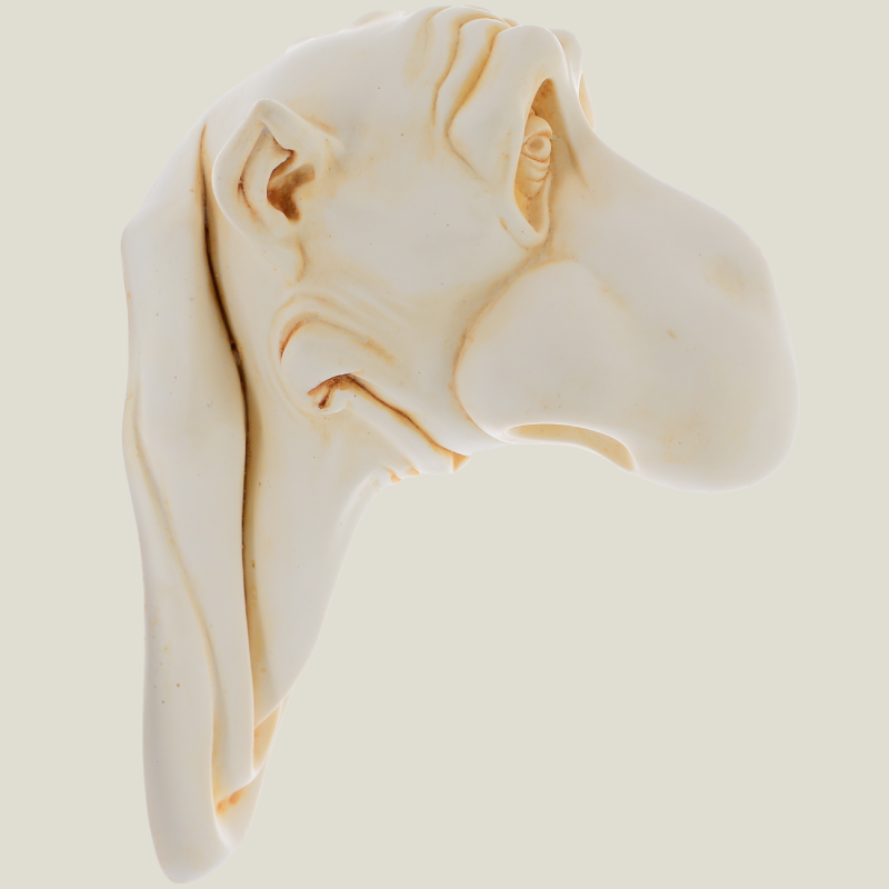 Big Nose hanging ivory, 20 cm