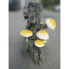Decorative stump with mushrooms Decorative stump with mushrooms