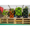 Vertical garden flower pot with 3+1 floors and pump. Anthracite colour. Vertical garden flower pot with 3+1 floors and pump. Anthracite colour.