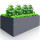 Raised Garden Beds