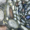 Garden Pond Basin 01-M