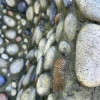 Garden Pond Basin 01-L