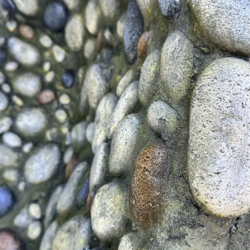 Garden Pond Basin 01-L