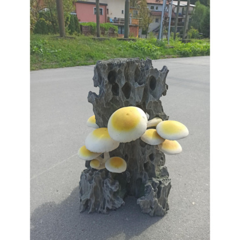 Decorative stump with mushrooms Decorative stump with mushrooms
