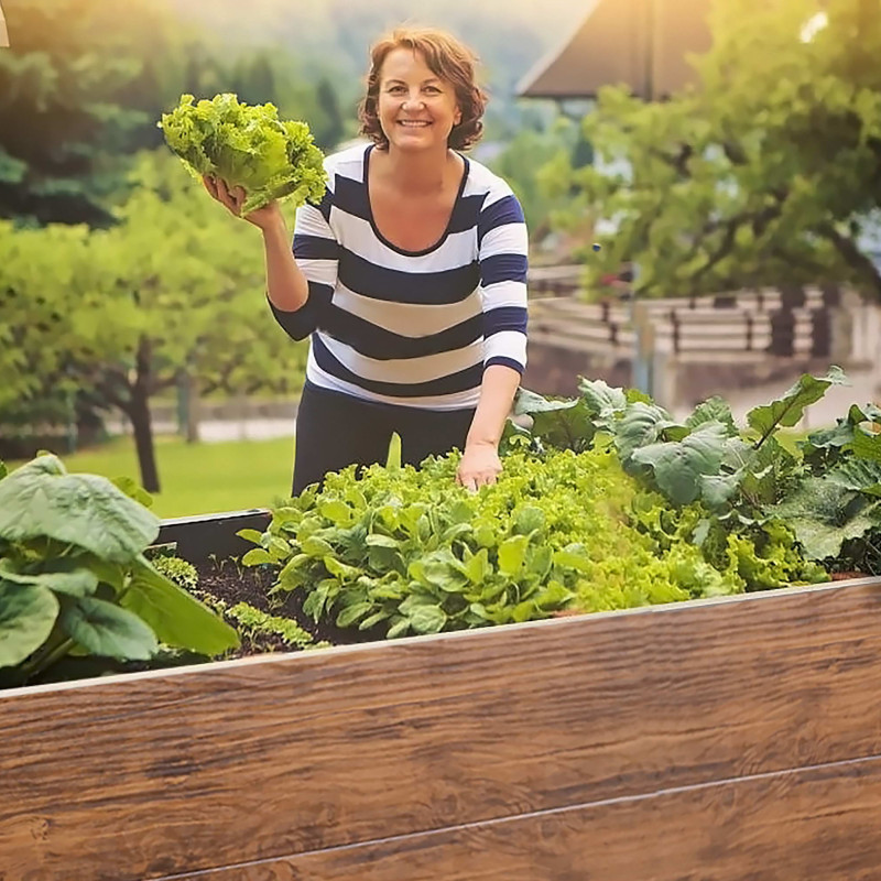Garden Raised Bed 200x100x63 cm made of galvanized Metal, Stable, Wood Effect, mole net incl.