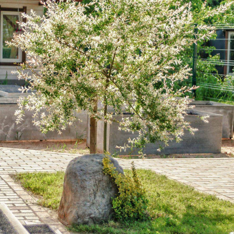 Findling Kunstfelsen für den Garten S-03 Findling Kunstfelsen für den Garten S-03