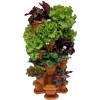 Vertical garden flowerpot 5+1 floors. Terracotta. Vertical garden flowerpot 5+1 floors. Terracotta.