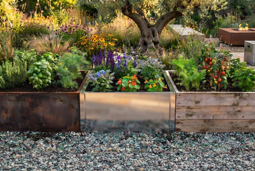 Why Galvanised Metal Raised Garden Beds Are the Best Alternative to WPC and Wood