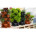 Flower pots