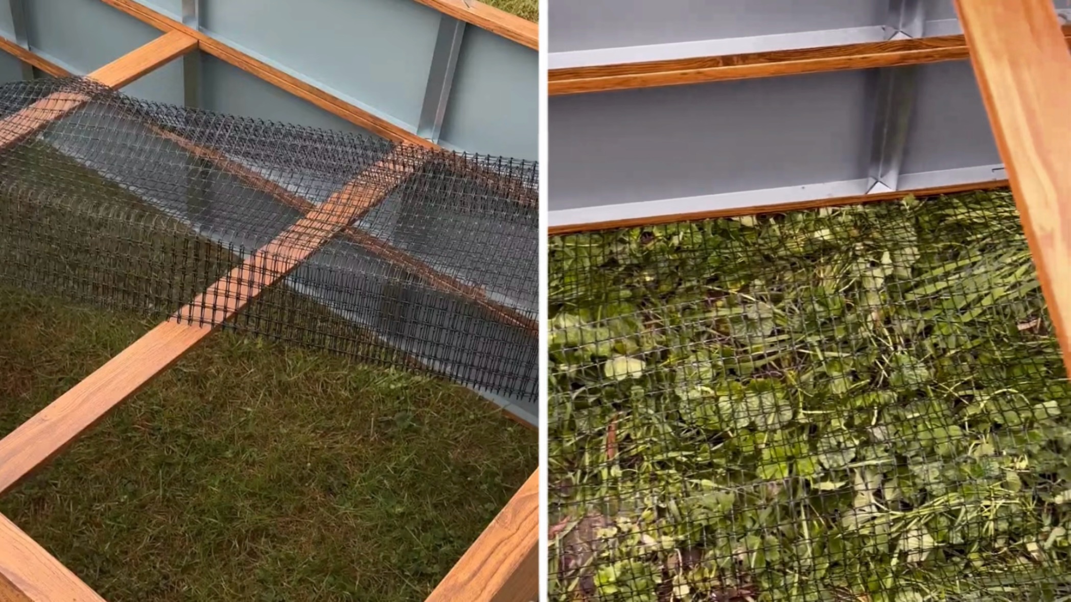 GARTENDEK raised garden bed – laying the mole mesh on the ground to protect plant roots from rodents