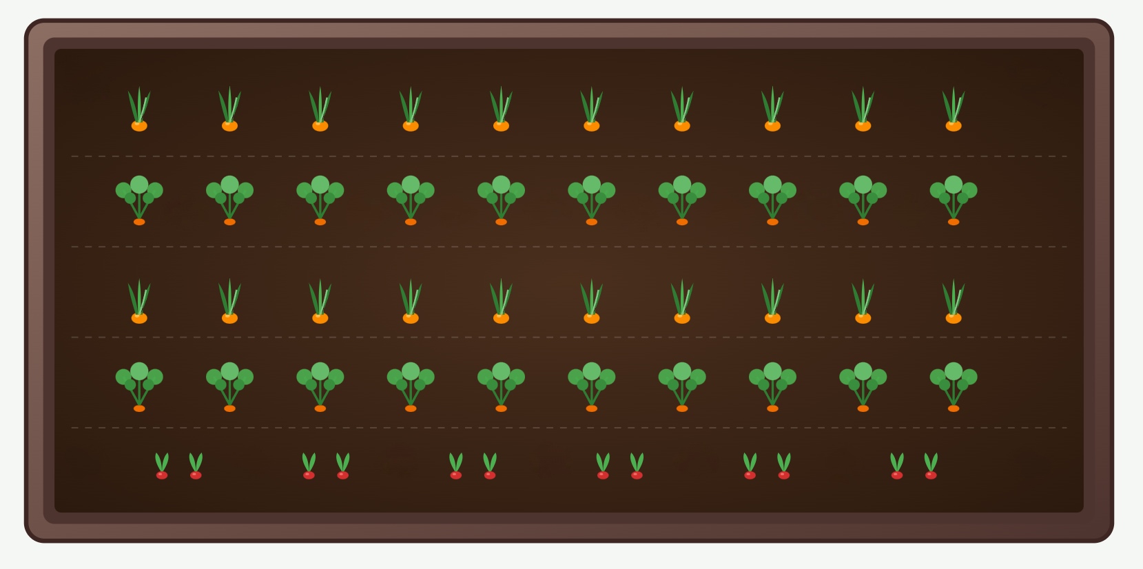 Companion planting plan 2 – carrots, onions and fast-growing greens in a raised garden bed
