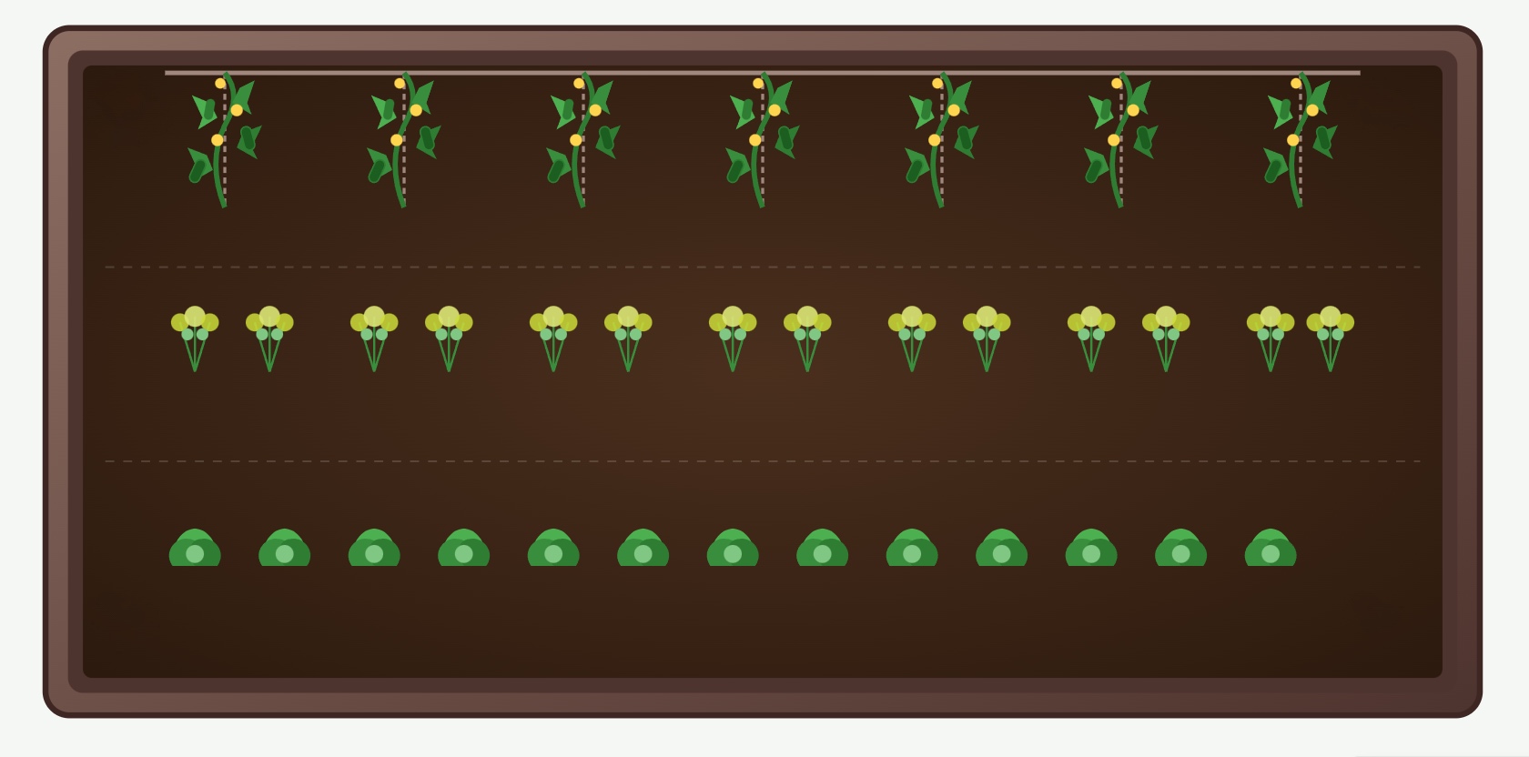 Companion planting plan 3 – cucumbers, dill and lettuce in a raised garden bed