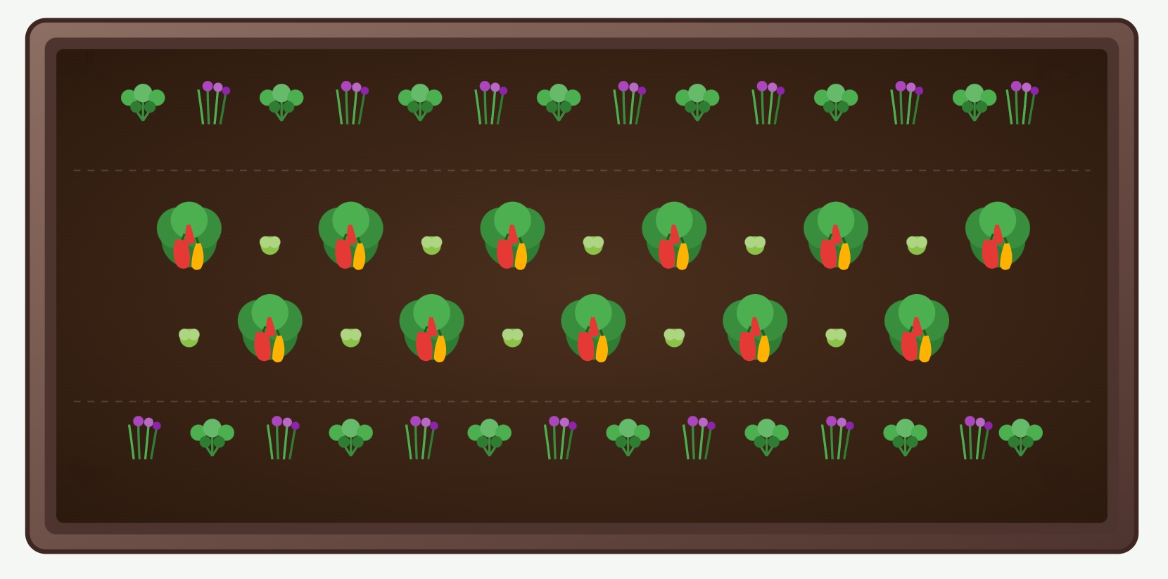 Companion planting plan 5 – peppers, parsley and chives in a raised garden bed