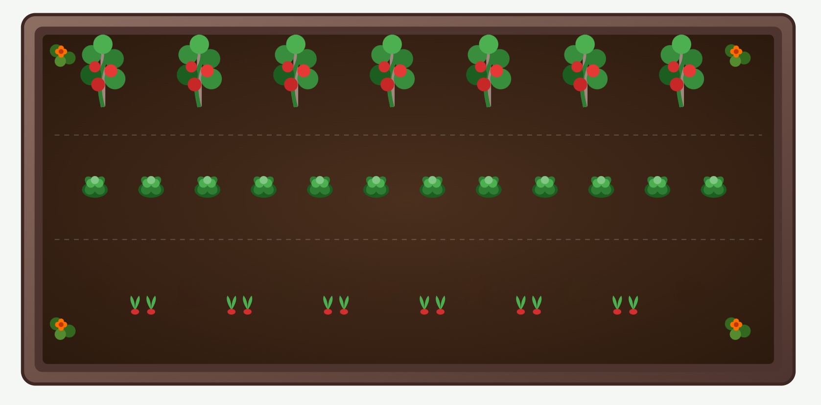 Companion planting plan 1 – tomatoes, basil and leaf lettuce in a raised garden bed